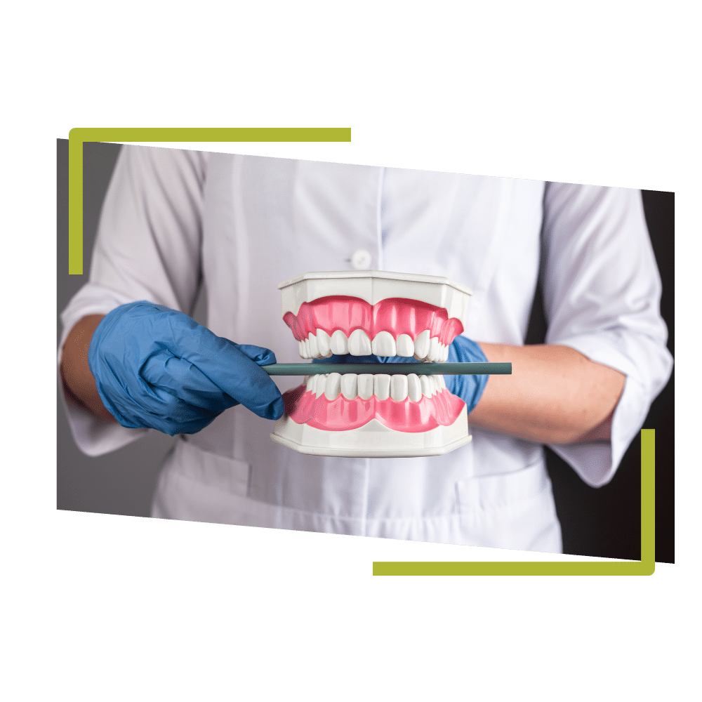 oclusion-dental-erwin